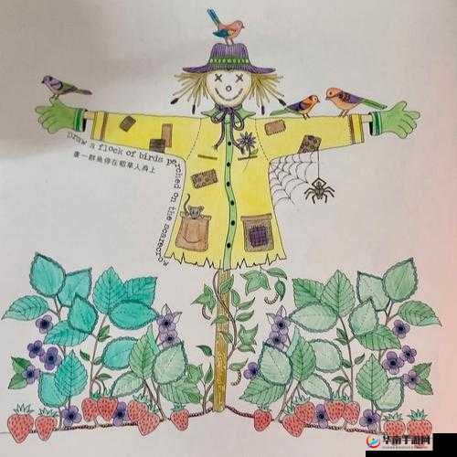 如何安抚自己的私密花园：探索私密花园的安抚技巧