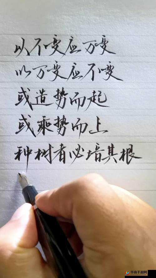 大船沉稳应对小船摇曳：以不变应万变