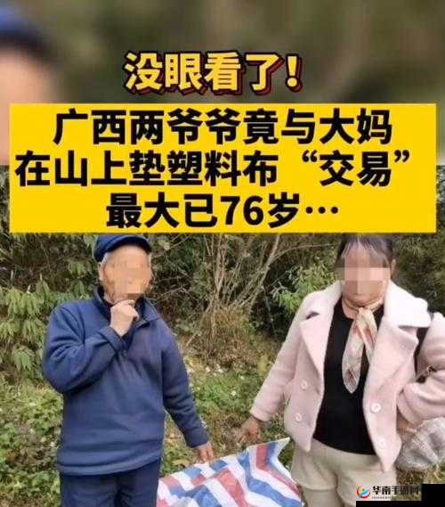 70 岁老人森林交易 10 元一次：背后的真相