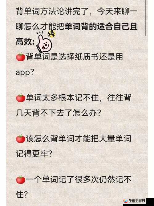 坐在学霸的大紫根上背单词：效率奇高的学习方式