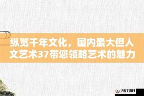 探索 37 大但人文艺术免费全部免费：感受艺术的魅力
