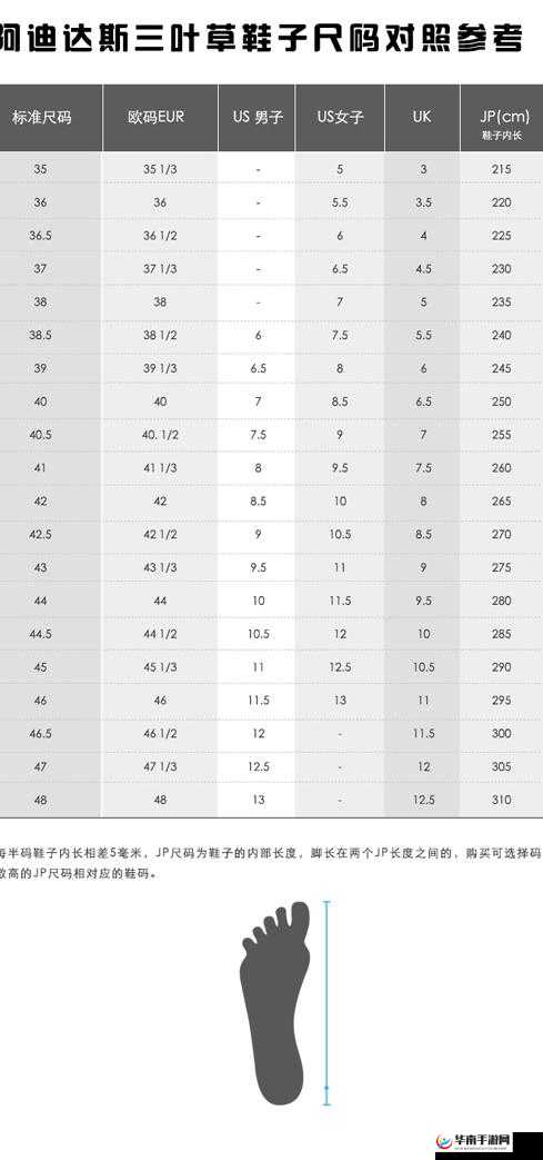 三叶草亚洲尺码和欧洲尺码区别-差异对比解析
