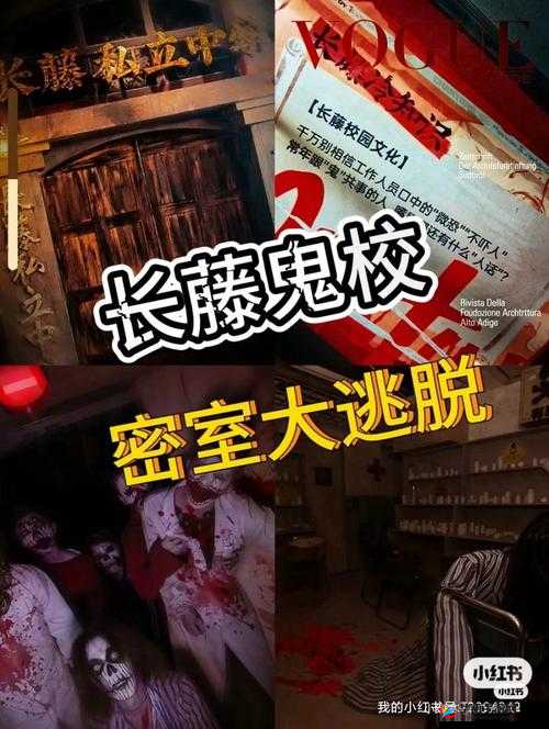 噩梦玩具体验馆海棠：恐怖与惊悚的极致体验