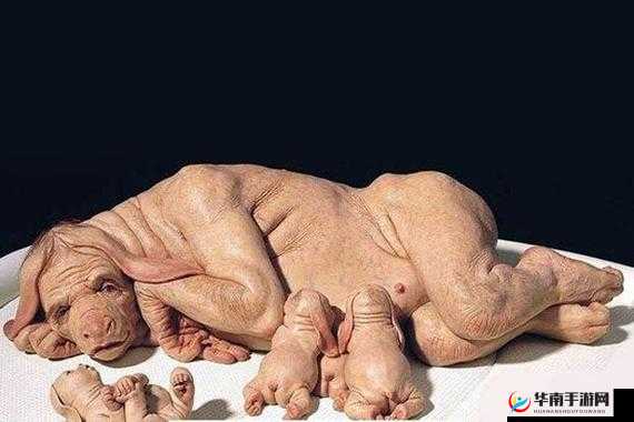 人猪又细又长像钻头一样图片：奇特生物的奇妙形态