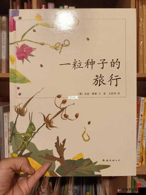 香大伊煮三区五区：探索未知的奇妙之旅