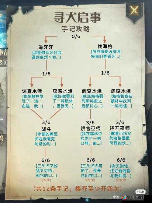 哈利波特魔法觉醒魔法石支线攻略：解锁通关秘籍与技巧