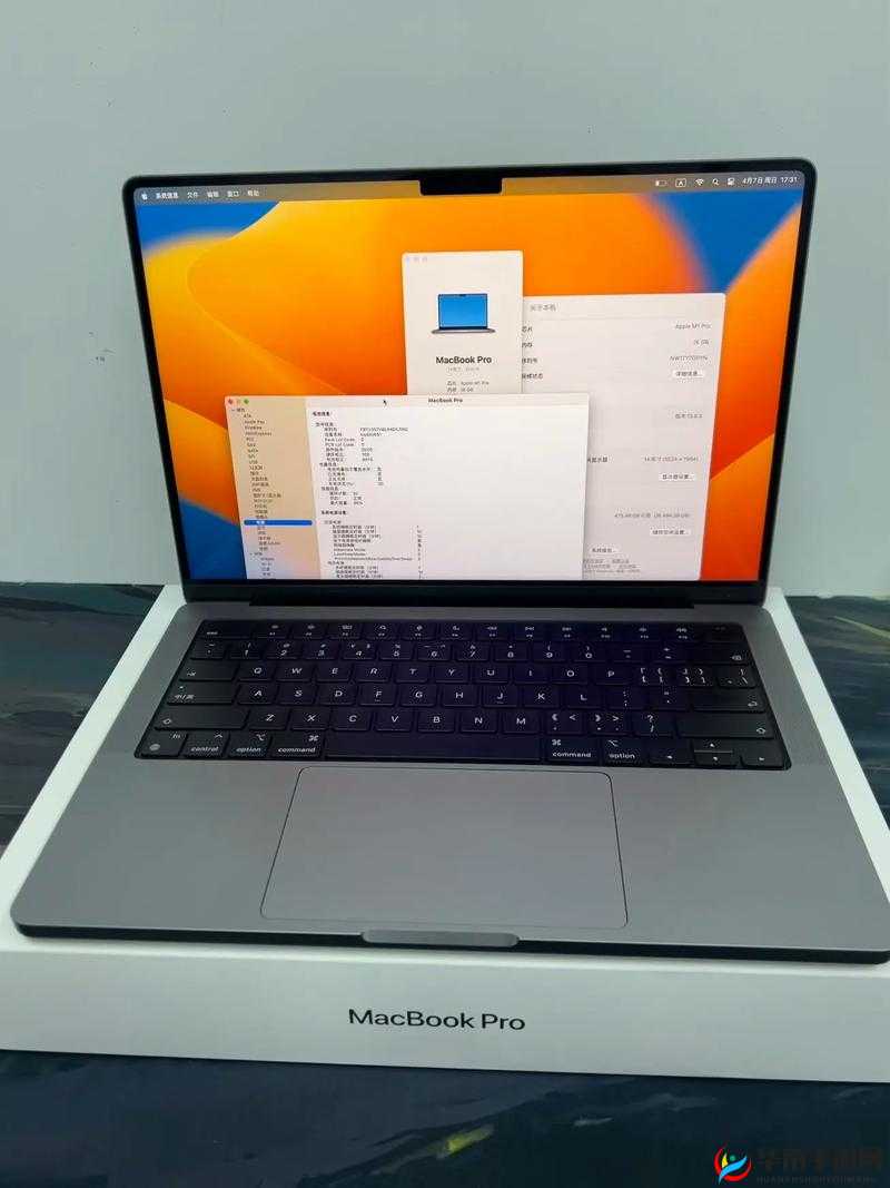 macbookpro 免费网站资源分享