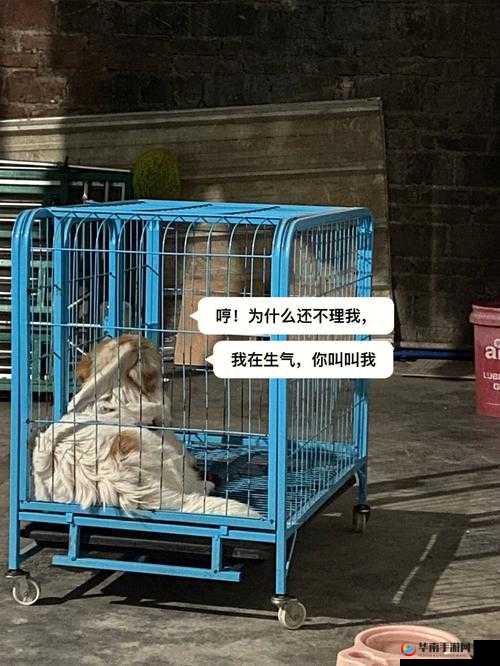 老牛嫩草一二三产品区别又出新作：深度剖析