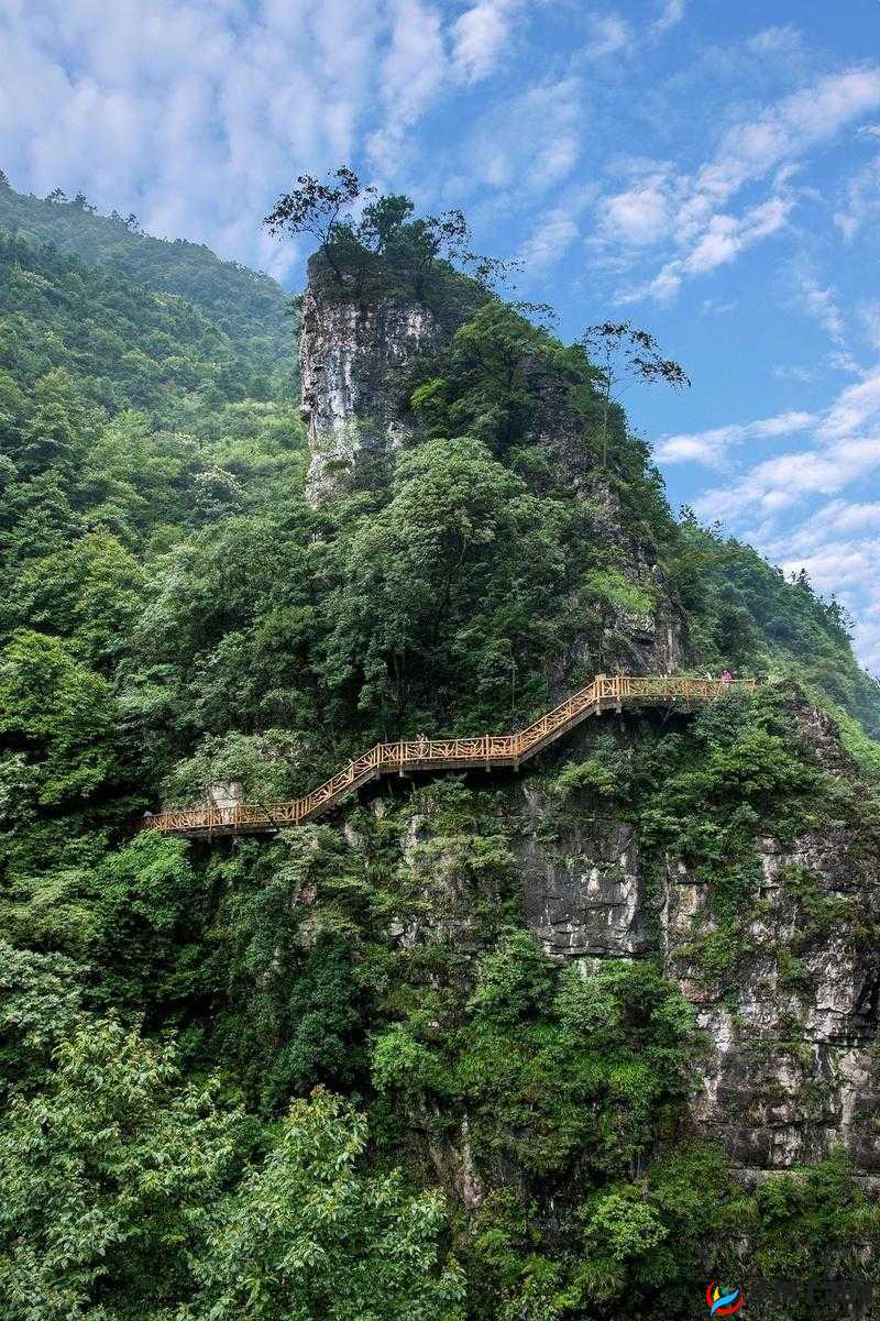 辐射4特殊居民失踪原因深度解析与攻略指南：探寻神秘失踪背后的真相