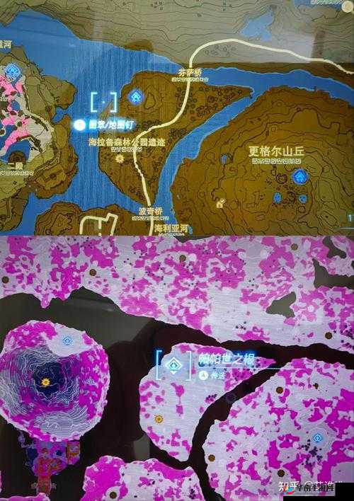 荒野之息：金色甲虫大搜索塞尔达金色甲虫位置览