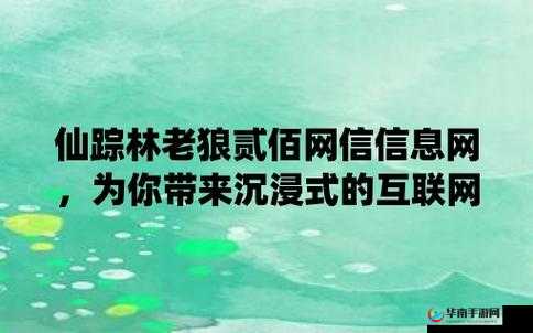 仙踪林贰佰信息网：探索独特之境