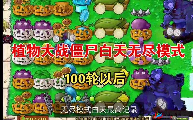 疼痛之轮：无尽折磨与解脱之道