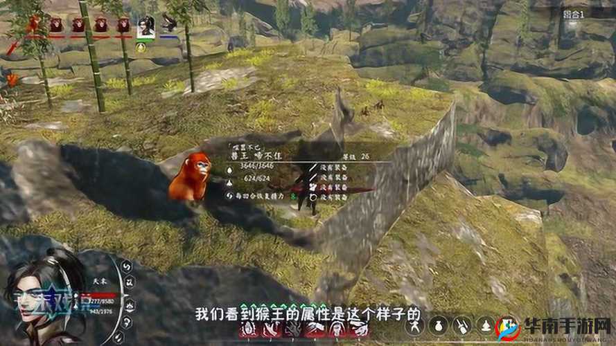 河洛群侠传金丝猴王：啼不住的属性与技能