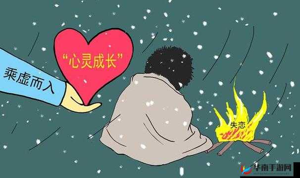 深入花心：探寻其内在奥秘
