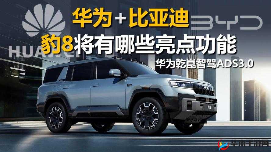 X7X7X7 任意噪 108 免费：畅享高清视觉盛宴