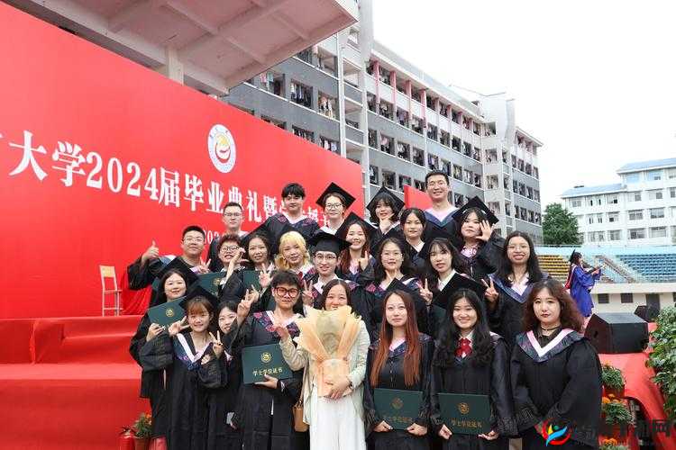 老年镖客视频 2024 年：全新征程开启