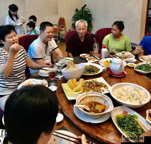 部长来家里吃饭在线看：温馨家庭聚餐