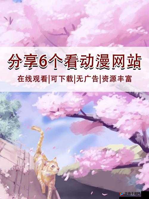 樱花动漫官方版正版入口在哪：探寻其所在之处