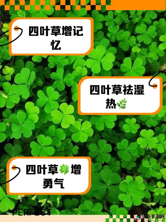 成品人与精品人区别：四叶草改变产品的奥秘