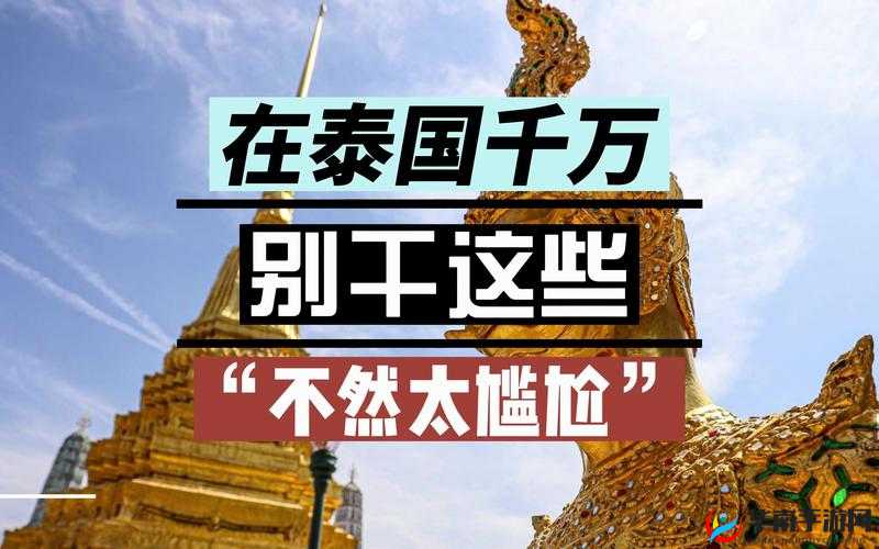 泰国最大的人文艺术 83638 中文字幕已成为语言偏好：探索泰国文化的窗口