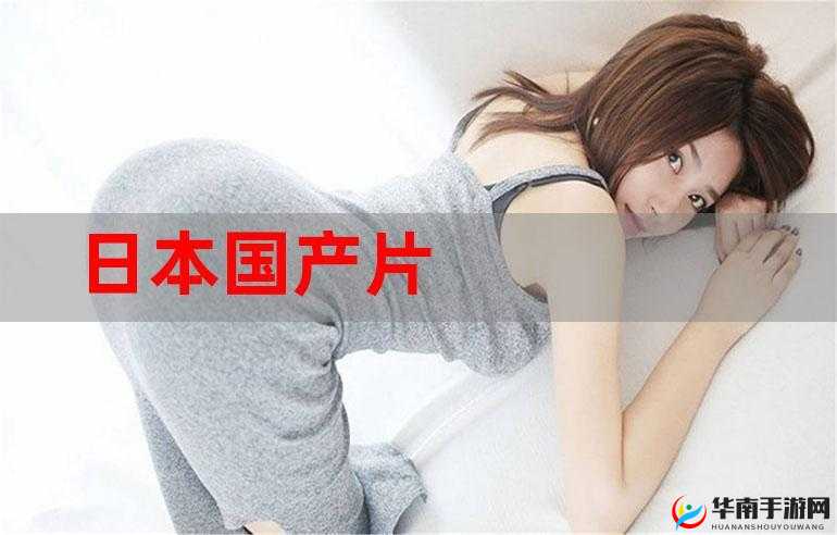 国产高清产品上线日本地区：开启新征程