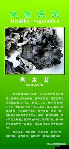 老婆的木耳能吃吗：探讨食物安全性