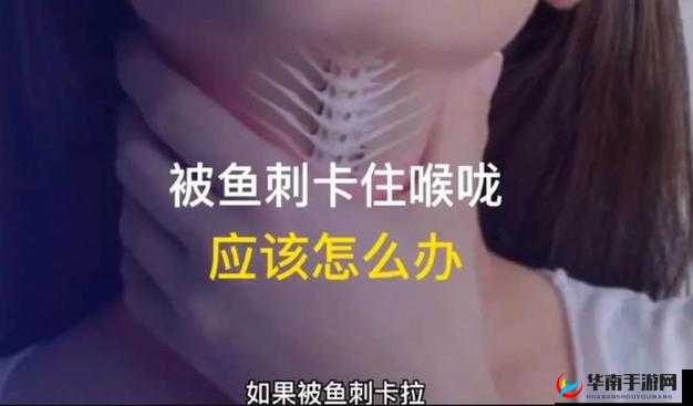 生存世界：鱼刺获取攻略详解，探寻鱼刺的秘密获取途径