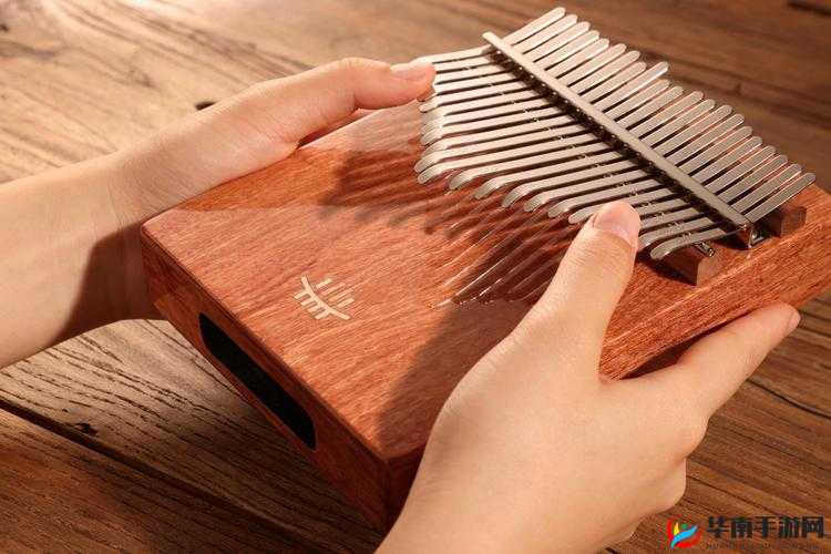 疯狂拨动我的小句号：探索其背后的奥秘