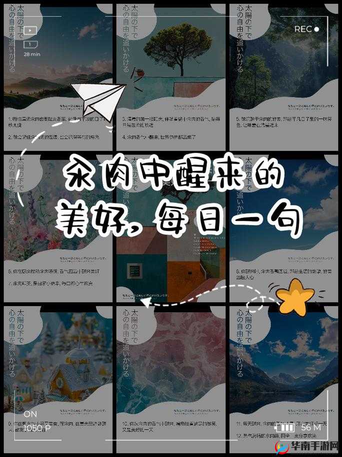 每天在汆肉中醒来攻略：美味探索之旅