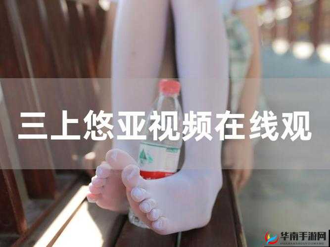 国产区在线观看资源丰富多样
