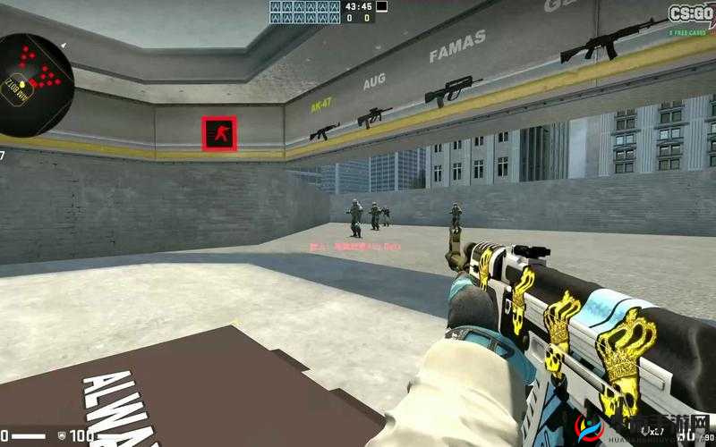 17 岁俄罗斯 CSGO 加入了全新视频：精彩呈现