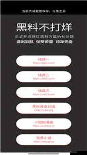 网曝黑料入门：揭露背后的秘密