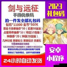 剑与远征 2021 夏日礼包码惊喜来袭 助你畅玩游戏之旅