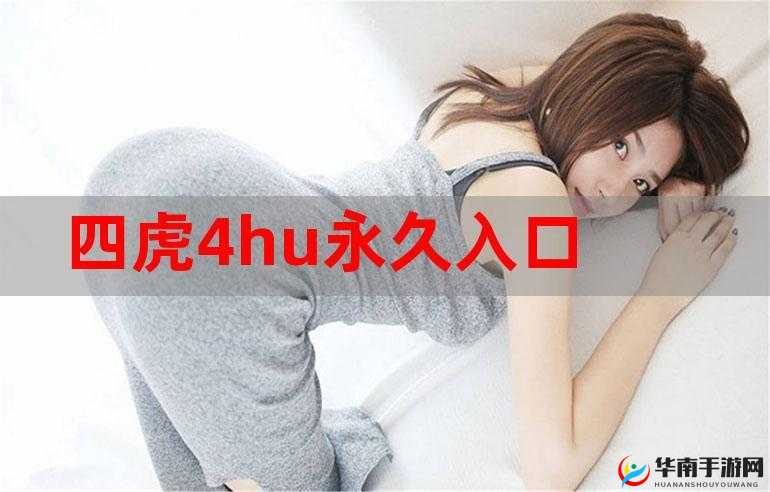 四虎海外网 2023：精彩不断，等你来探索