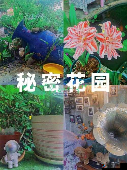 大手往哪秘密花园探去寓意何在：深度解读
