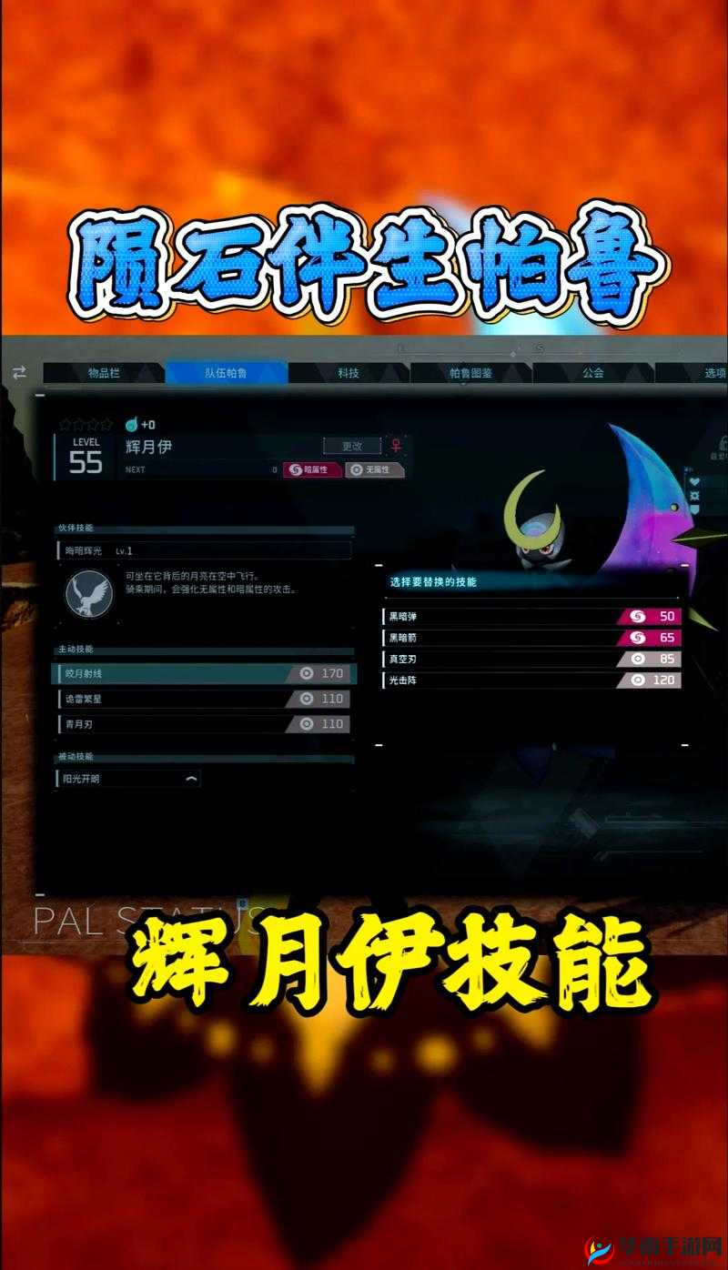 伊丁天堂暗夜精灵攻略大全之新手必看