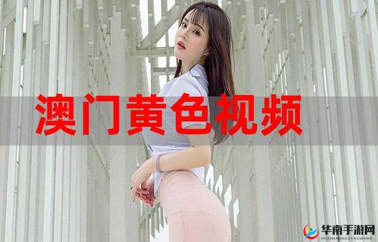 黄色视频 APP 下载：畅享精彩内容