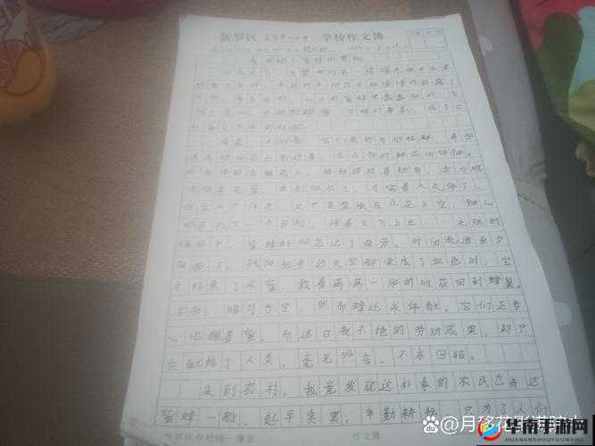 怎么感受到被抄的感觉：揭秘抄袭的秘密