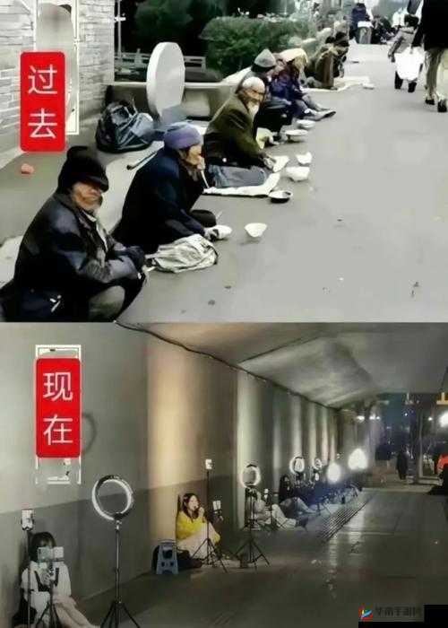 桥下将自己贡献给乞丐免费阅读：奉献之举引关注