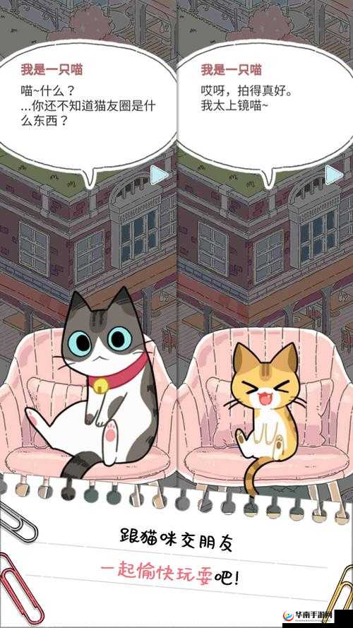 猫友圈猫咪旅行攻略：启程准备全解析