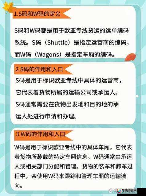 欧亚专线 S 码和 W 码入口一样吗：有何不同