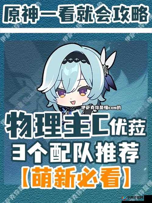 优菈领衔，物理输出阵容搭配推荐