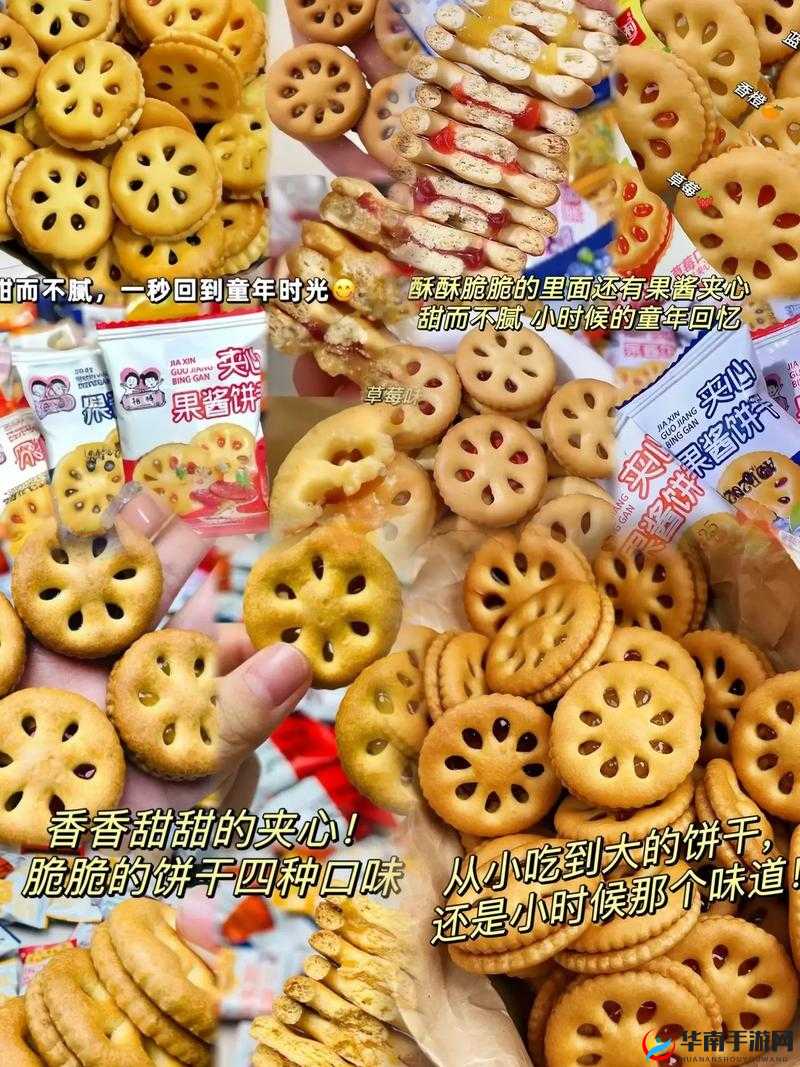 双胞胎一前 一后夹心饼干：独特美味的新体验