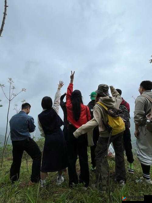 在野外用小雨伞拔萝卜好吗：一种有趣的户外体验