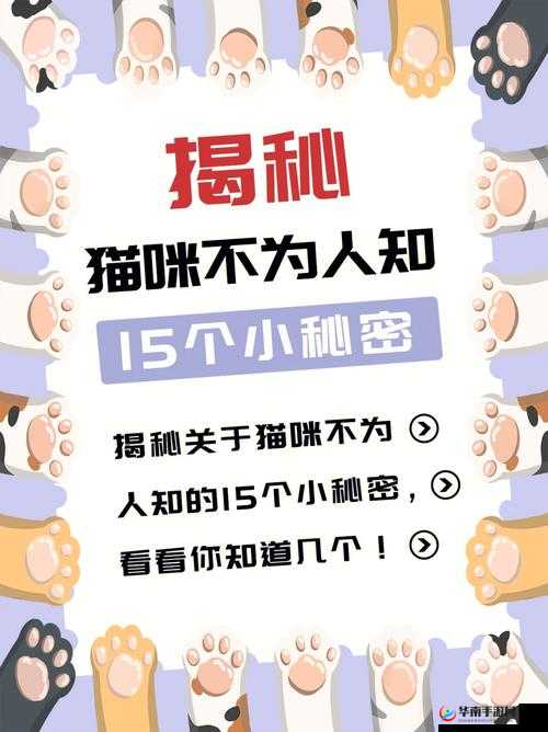 黑料网：独家揭秘不为人知的秘密