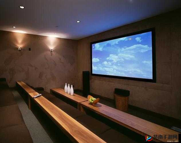 私人 IMAX 家庭影院：极致视听盛宴