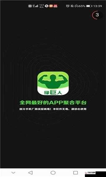 绿巨人入口 app 黑科技：畅享无限可能