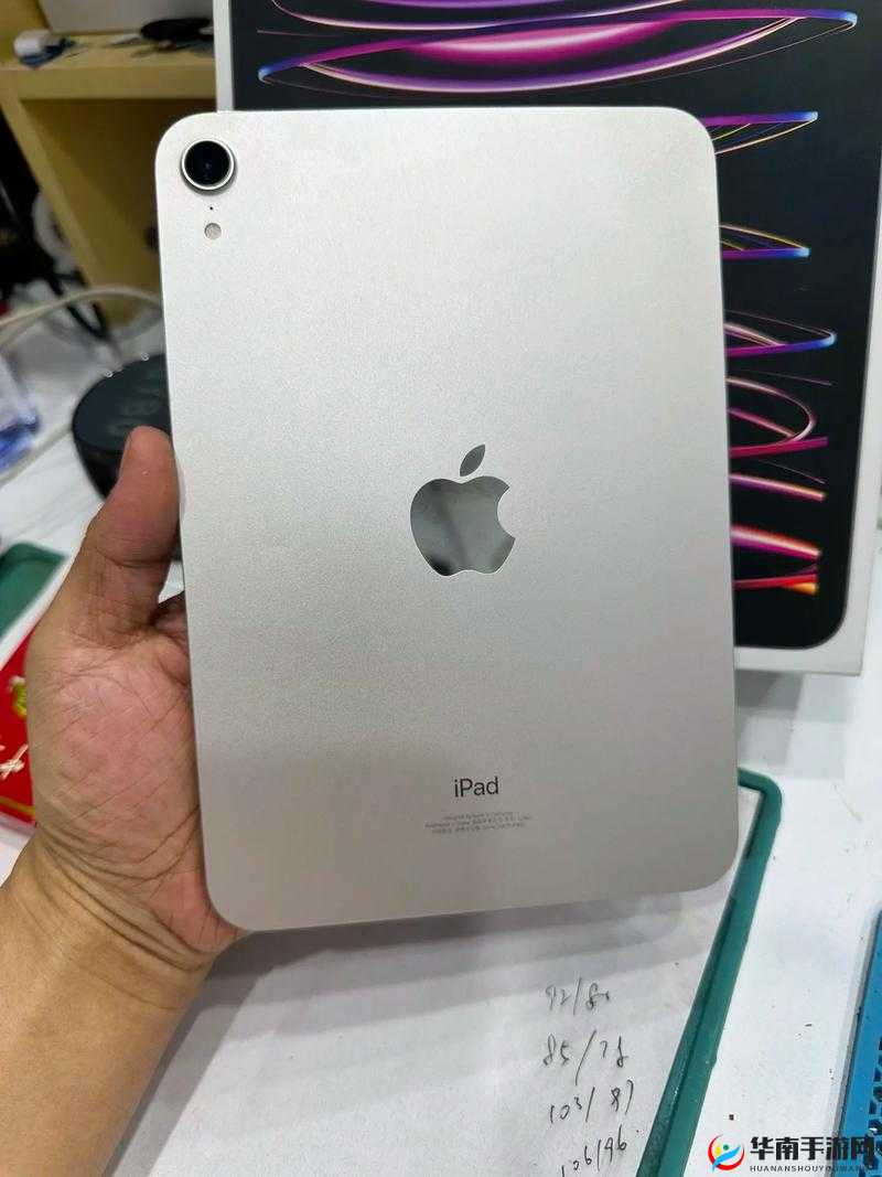 秘密入口 Mini6 安全攻防：全面解析