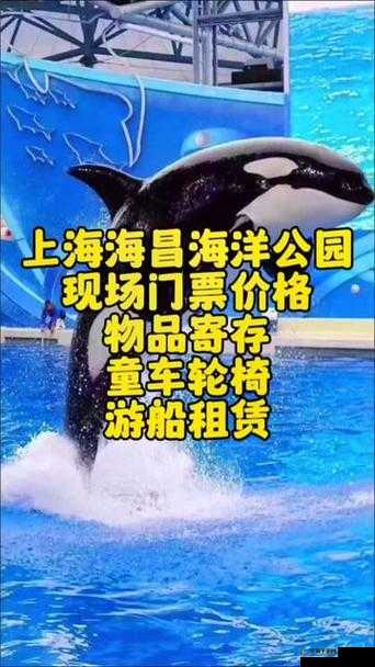潜水员戴夫白鲸捕捉攻略：抓捕位置详解或者：戴夫白鲸潜水探索指南：捕捉地点揭秘