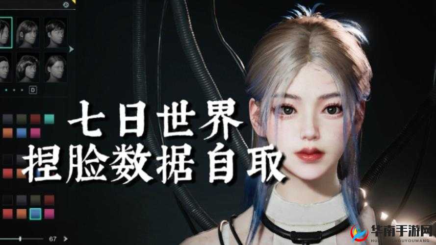 《龙之信条2》玛露希尔捏脸攻略：详细数据分享